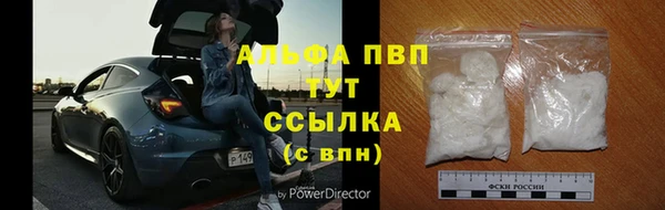 стафф Медвежьегорск