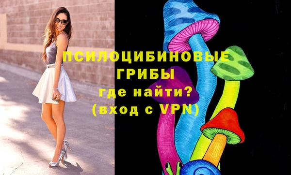 стафф Медвежьегорск